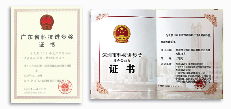 科技进步奖