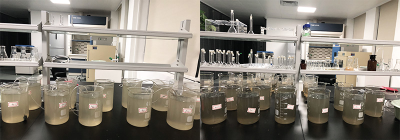 黑臭河道治理中的生物修复技术