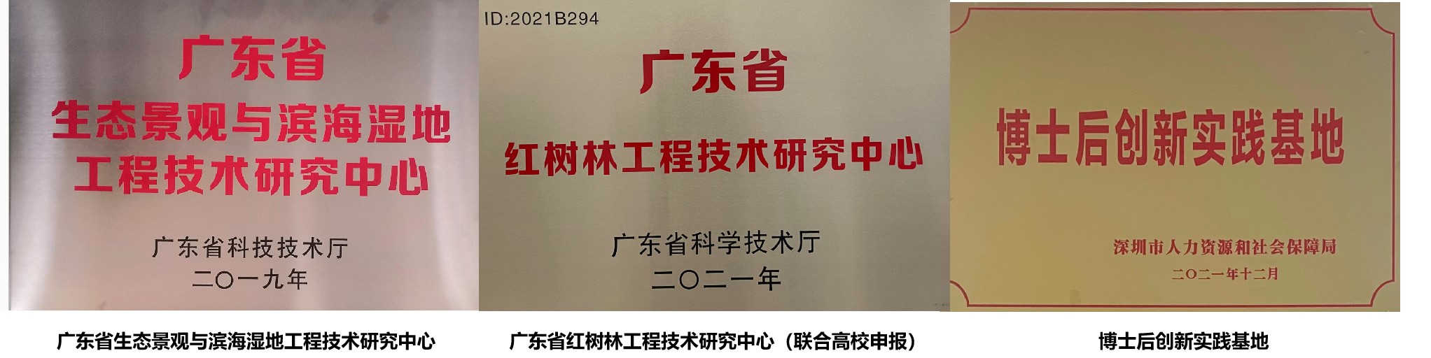 研发平1